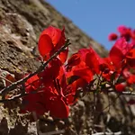 Agroturismo Sa Pletassa