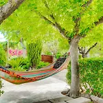 Finca MARIPOSA Alcudia