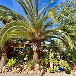 Finca Son Aduar