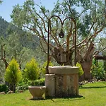 Hotel Rural S\'Olivaret & Spa