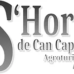 S\'Hort Can Capita