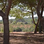 Finca Son Blat