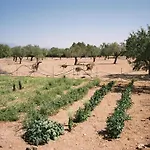 Agroturismo Es Quatre Cantons