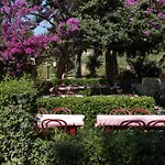 Fonda Las Palmeras
