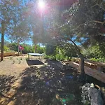 Mallorca Dream