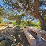 Mallorca Dream