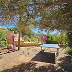 Mallorca Dream
