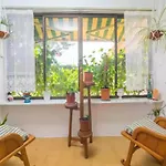 El Pradillo-Villa With Private Pool Free Wifi