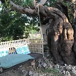 Dream Finca for nature lovers in Alaró!