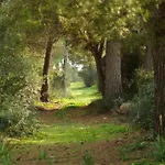Agroturismo Ses Arenes