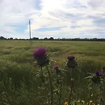 Sa Bassa Crua Agroturismo