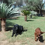 Agroturismo Can Llimona