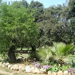 Sa Figuera Blanca
