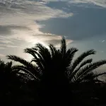 Finca El Pavo