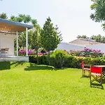 Mollet