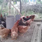 Sa Rota De Ca\'N Casetes