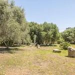 Finca Sa Plana