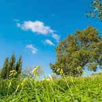 Finca Son Prohens