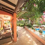 Las Palmeras Portol