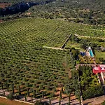 Finca Son Cifre Manacor