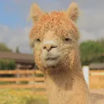 Hacienda d\'Armando
