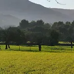 Holiday home Can Pontico