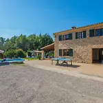El Olivo