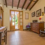 Finca Son Bosquer