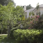 Botana 7