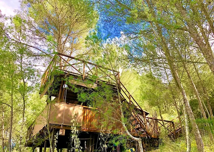 Lodge Buena Vista