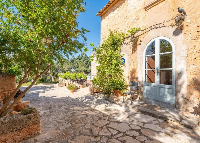 Finca Can Muvi