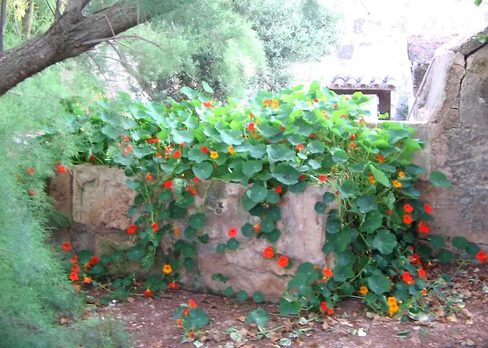 Agroturismo Finca Sant Blai