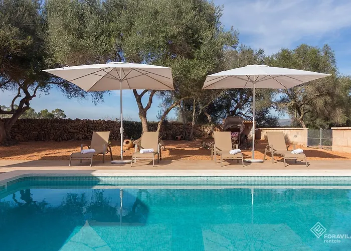 Finca Son Grauet