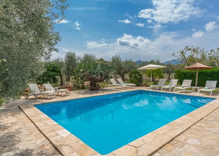 Finca La Vinya