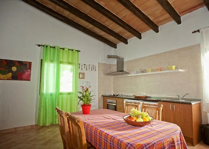casa david