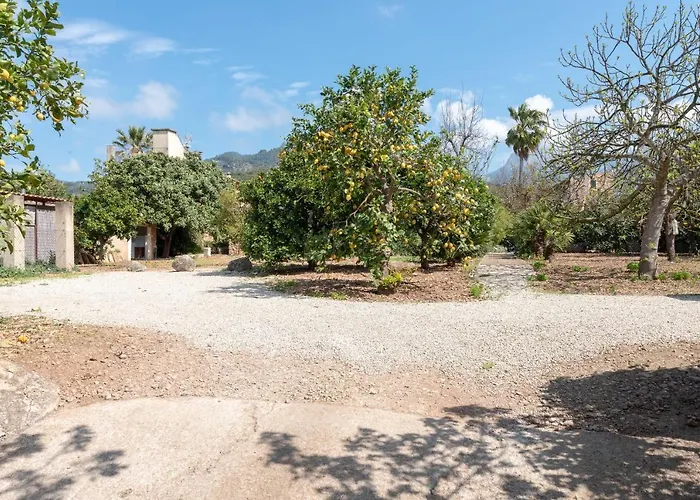 Finca Ca\'N Vaqueta