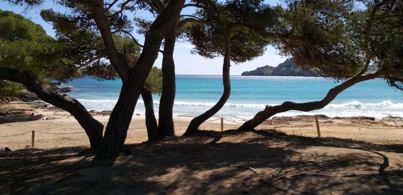 Punta Ses Planes * Son Servera (Mallorca)