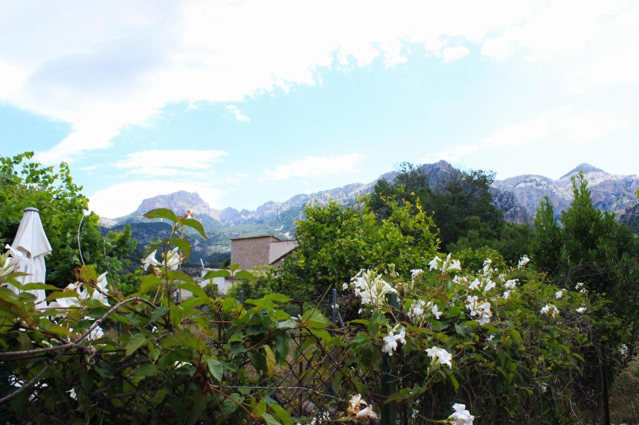 Сasa de vacaciones Can Toni De S'hort Sóller
