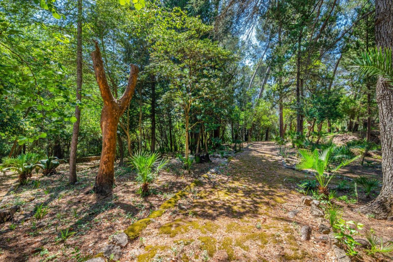 Agroturismo Son Grua De Lujo
