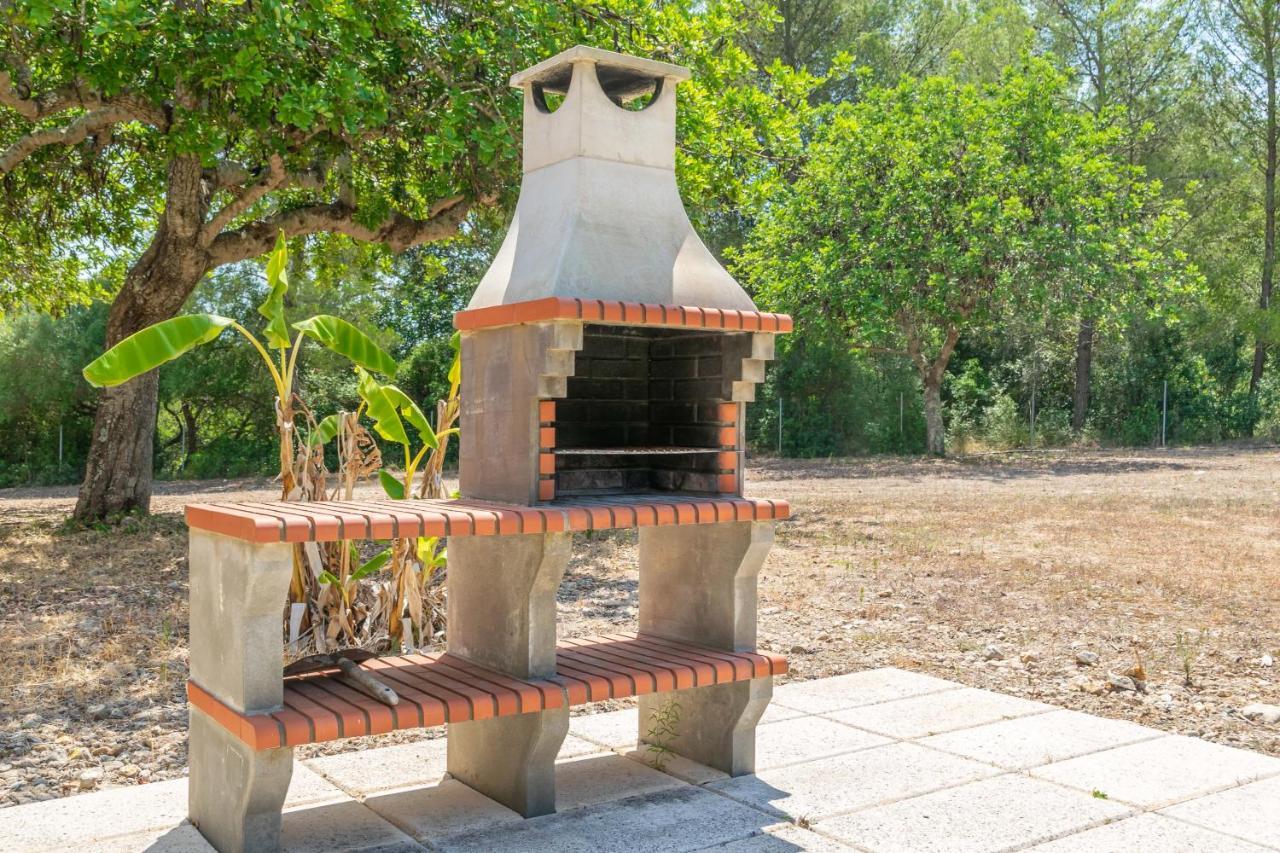 L'esplai Pollensa