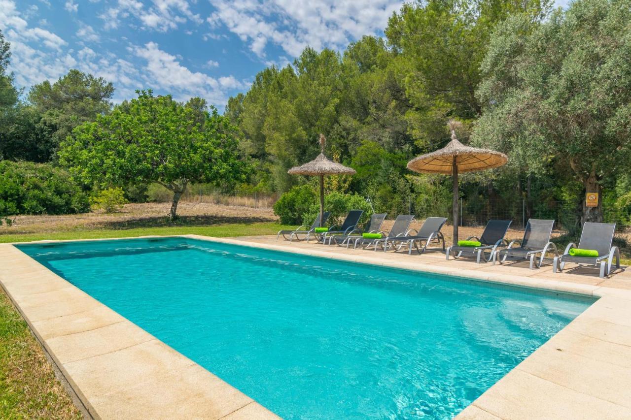 L'esplai * Pollensa