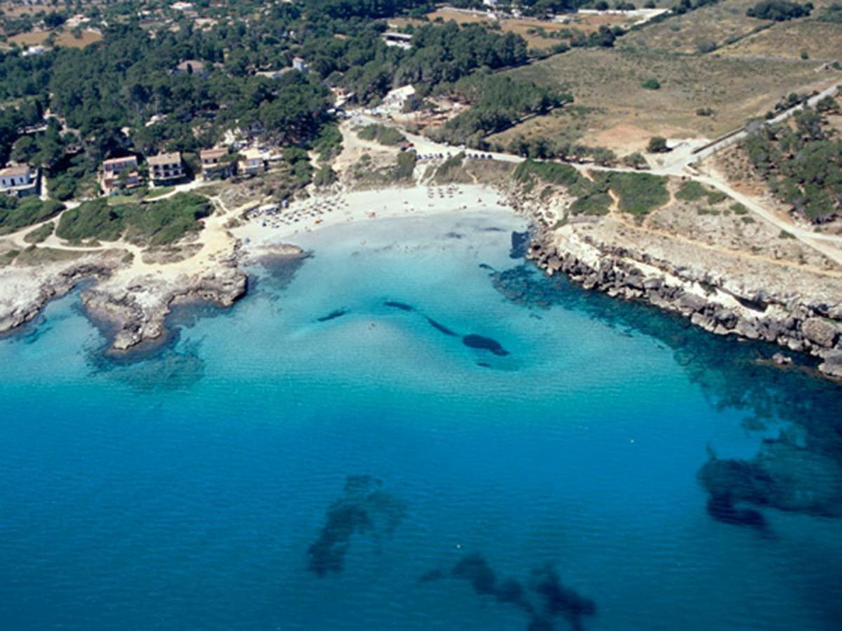 Salom Villa