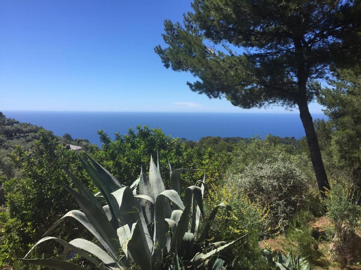 Hotel Son Bleda 4*