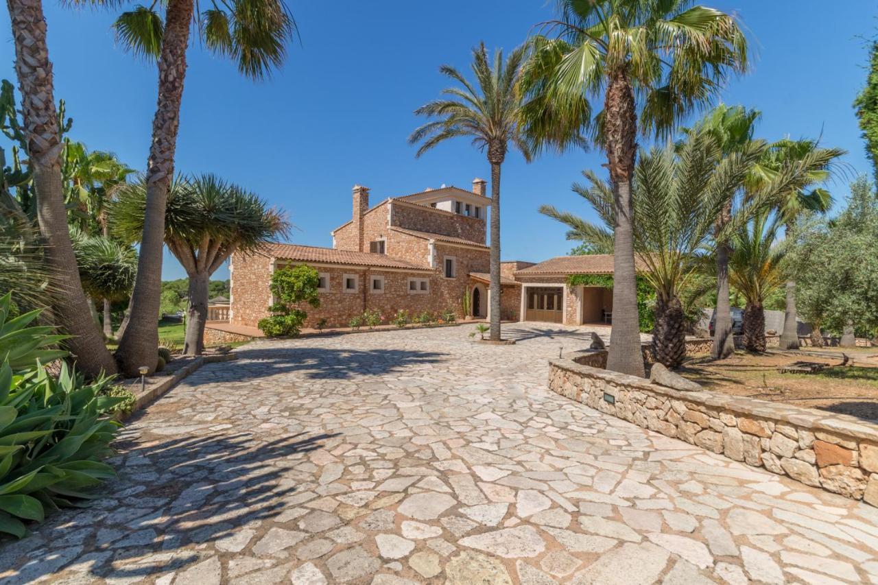 - 30298 Mallorca Fenalitx (Fenalich)