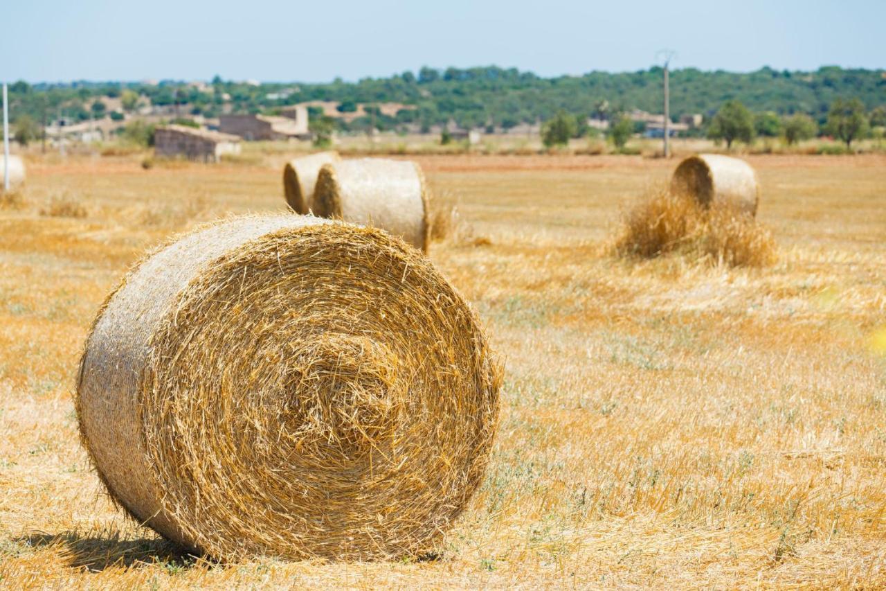 Finca Sa Rota De Son Ramon 132 By Mallorca Charme Сasa de vacaciones *