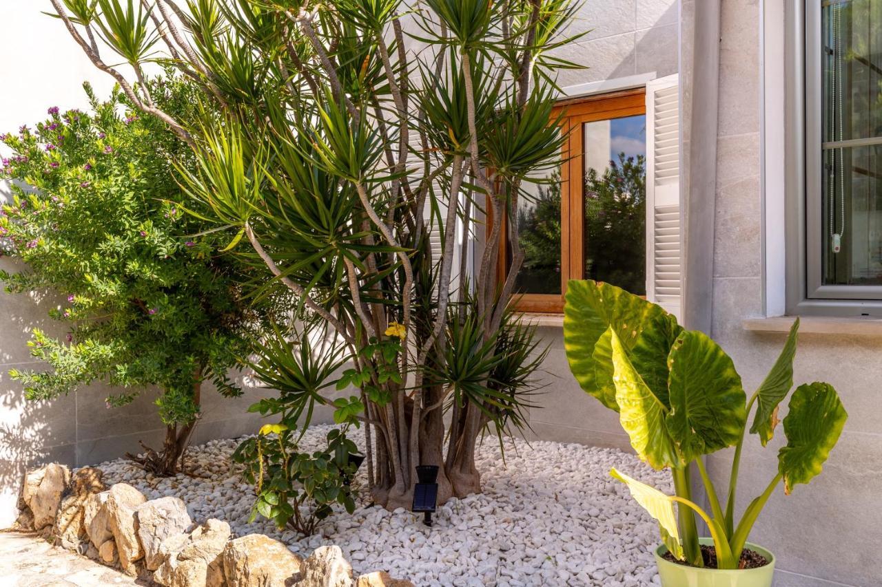 Tucan Alcudia Holiday home Port de Alcudia (Mallorca)