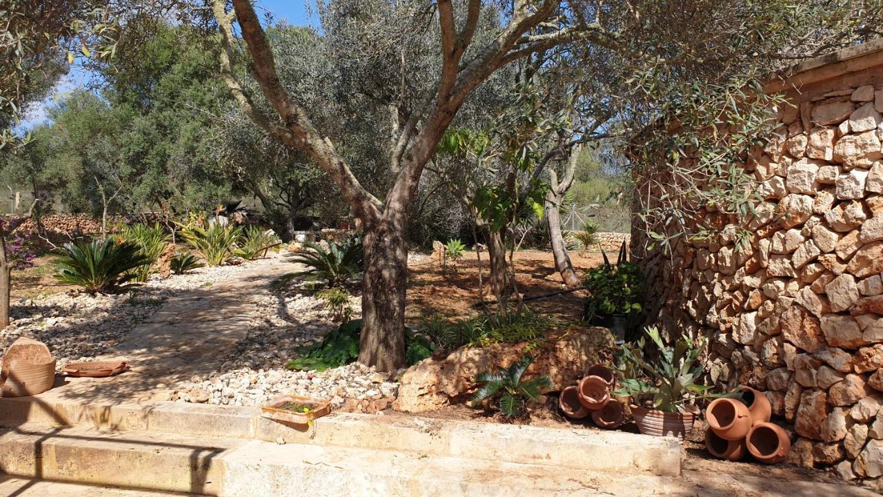 Finca Rural Art 9 Holiday home *