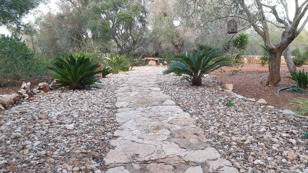 Finca Rural Art 9