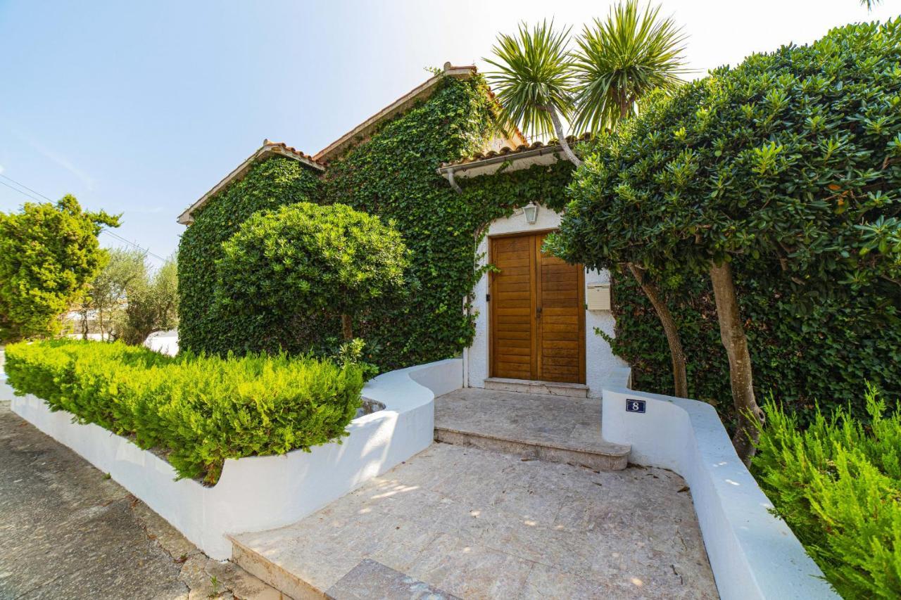 President Villa Alcúdia