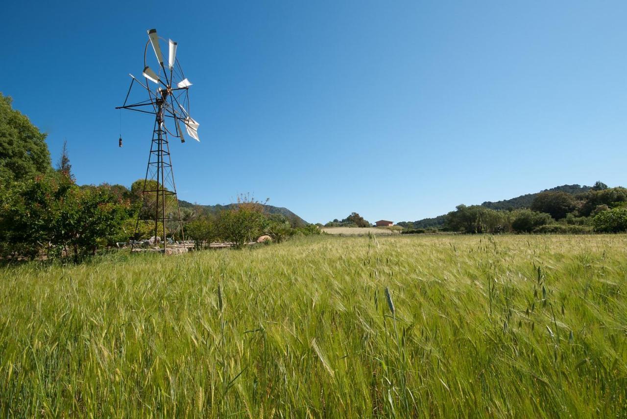 Hort Den Gelos Campanet Mallorca Villa Crestatx